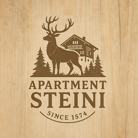 Steini Since 1574 Appartamento *